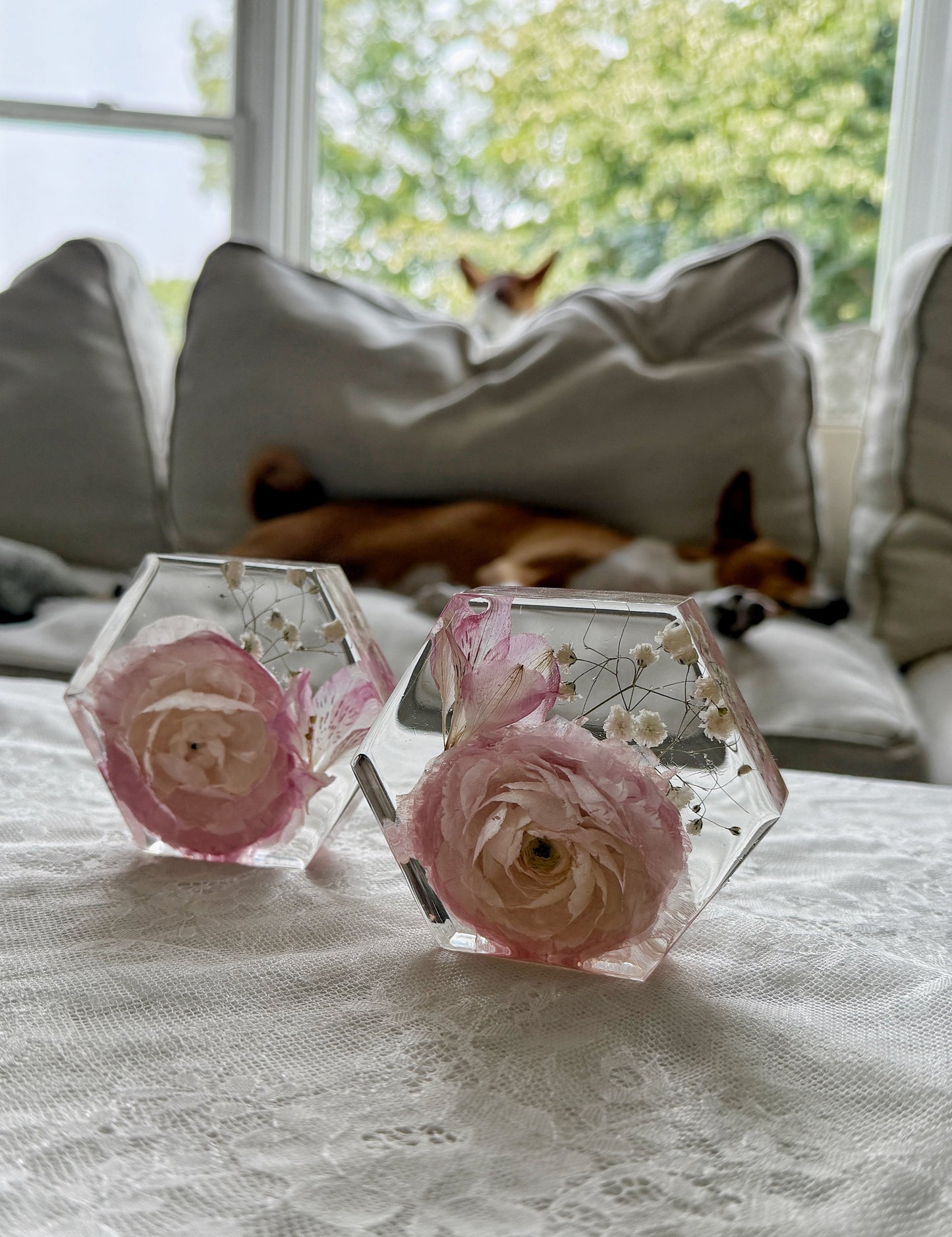 Baby Hexagon - Add On Item