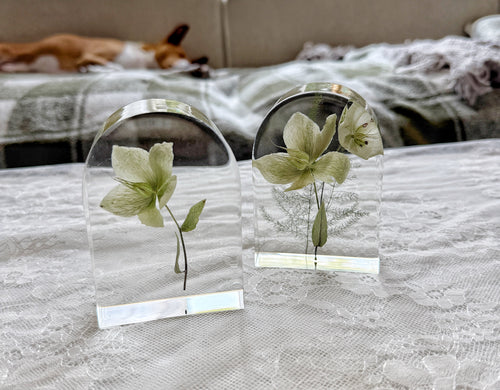 Baby Arch - Add On Item