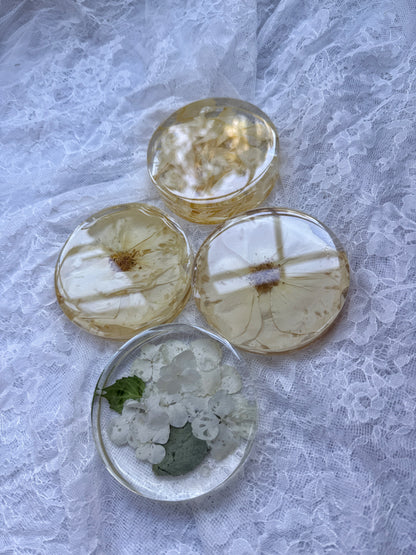 Coasters - Add On Item