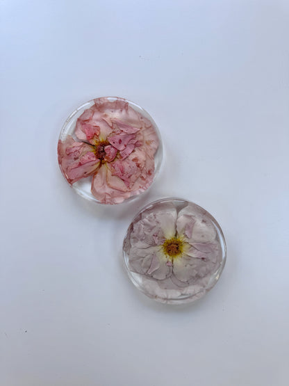 Coasters - Add On Item