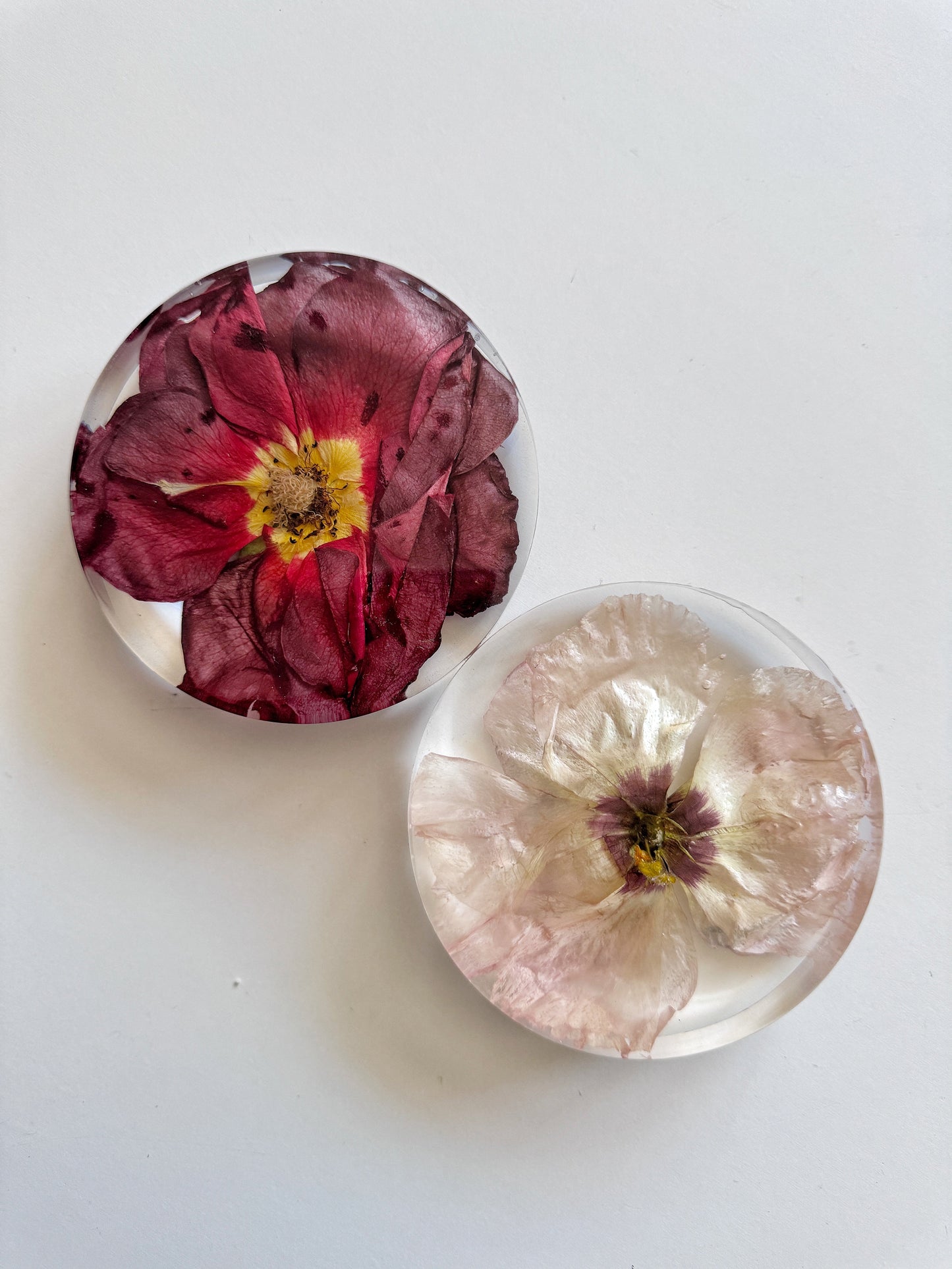 Coasters - Add On Item