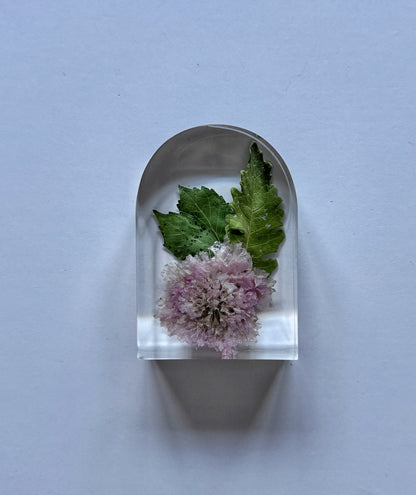 Baby Arch - Add On Item