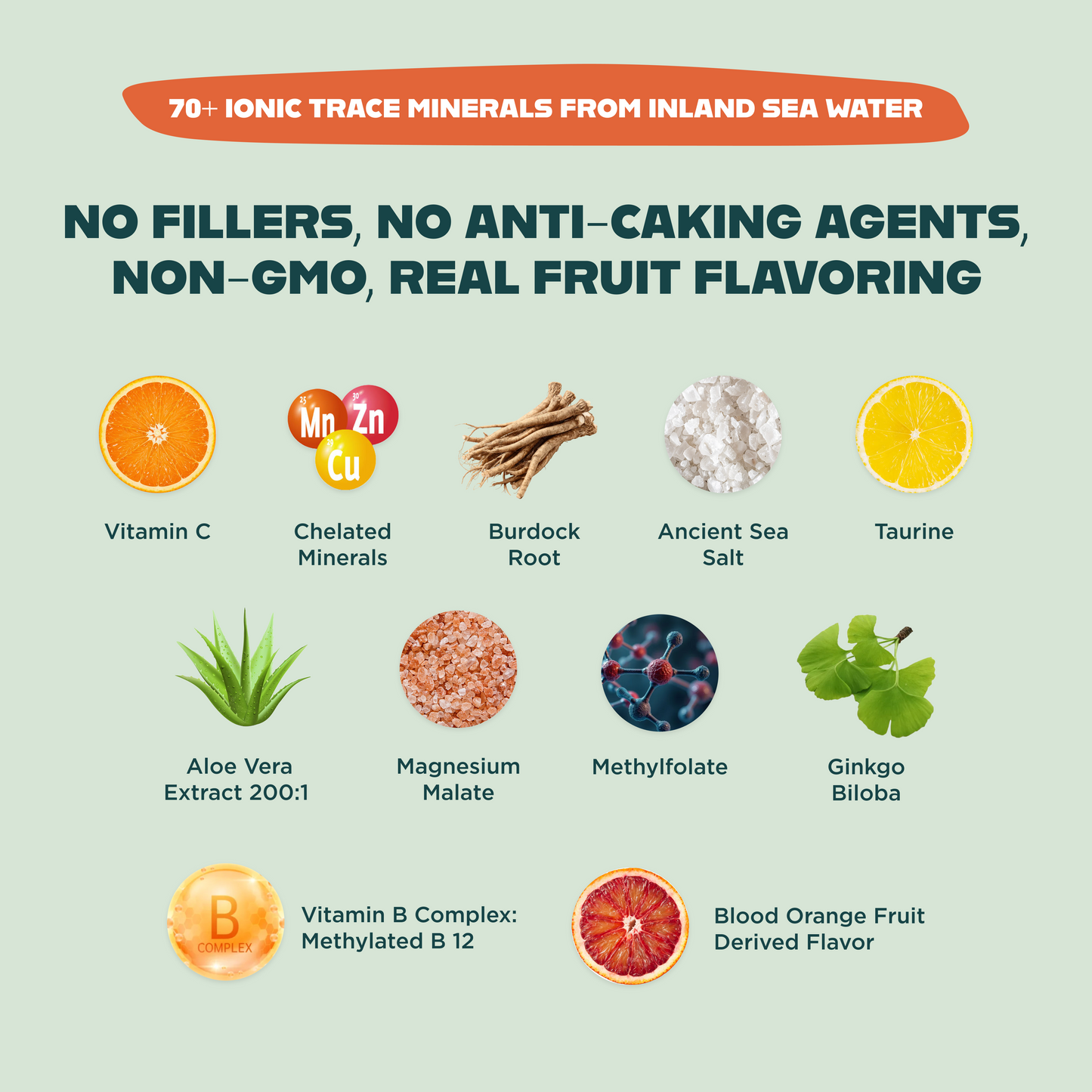 OPTIMIZE MINERALS™ Daily Multi-Mineral Formula for Energy, Focus & Balance